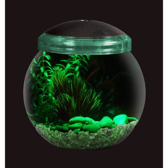 LED Fish Globe! - Picture 5 of 9